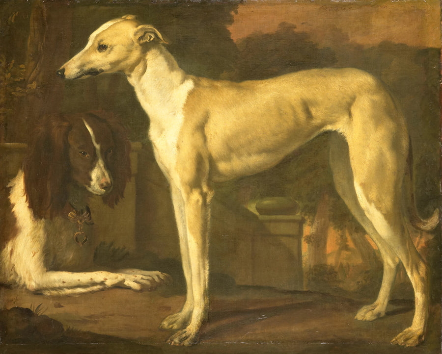 Portrait d'un lévrier et d'un perdrix - Jan Weenix