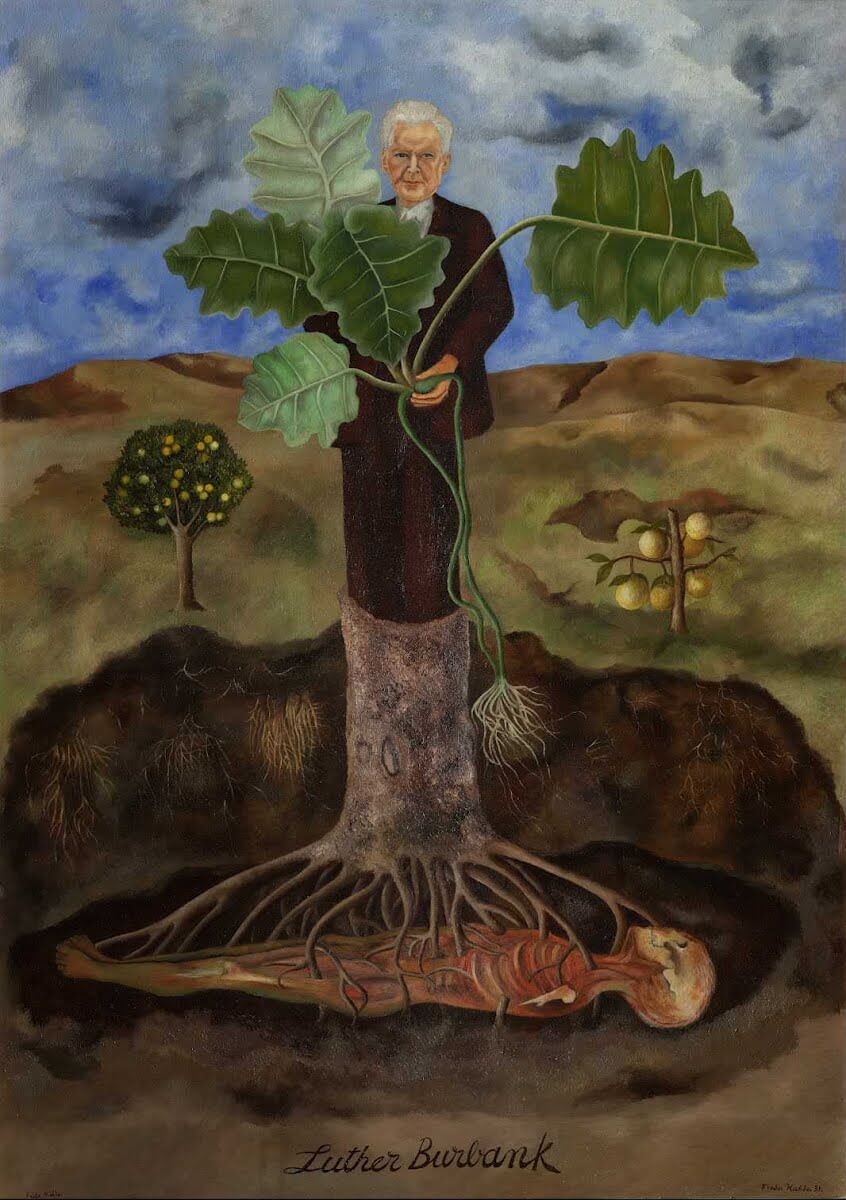 Portrait de Luther Burbank - Frida Kahlo