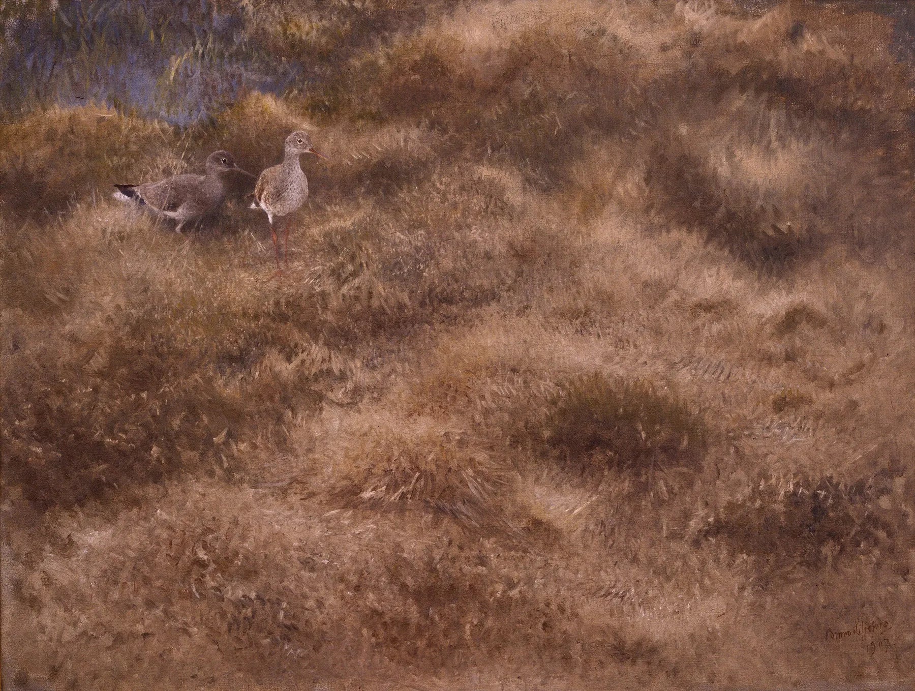 Prairie avec des bécasseaux - Bruno Liljefors image 1 tableau peint à l’huile sur toile