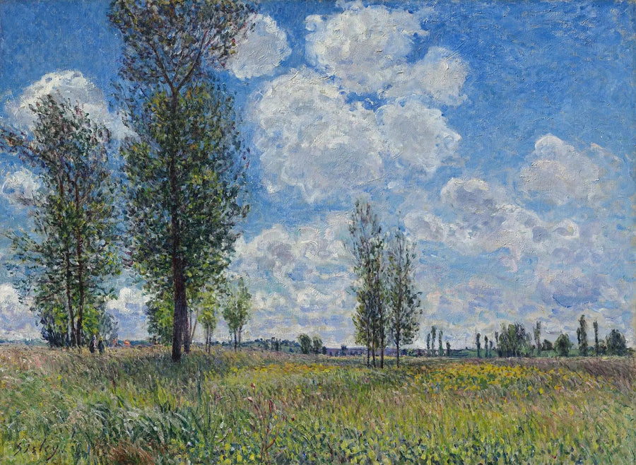 Prairie de Veneux-Nadon - Alfred Sisley