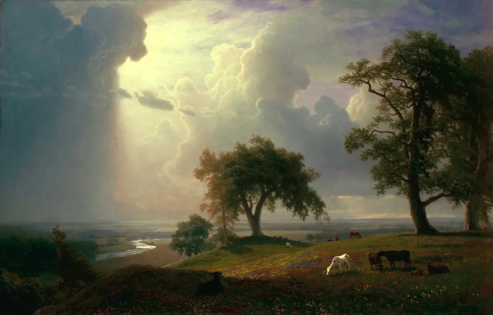 Printemps californien - Albert Bierstadt image 1 tableau peint à l’huile sur toile