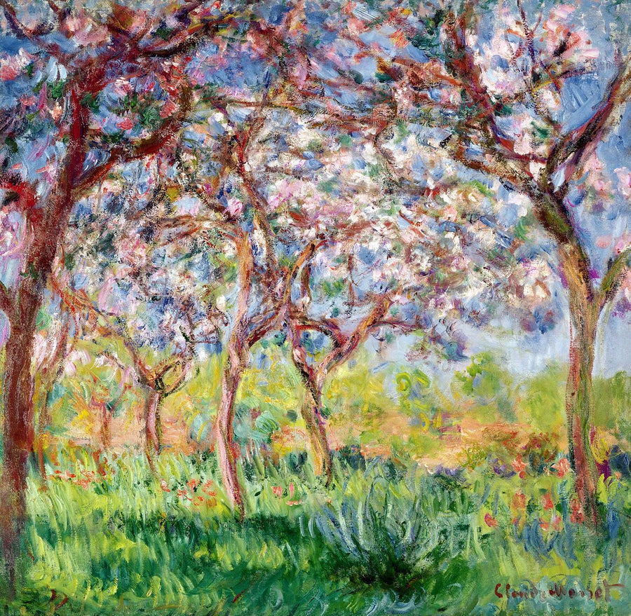 Весна в Живерні, 1903 - Клод Моне