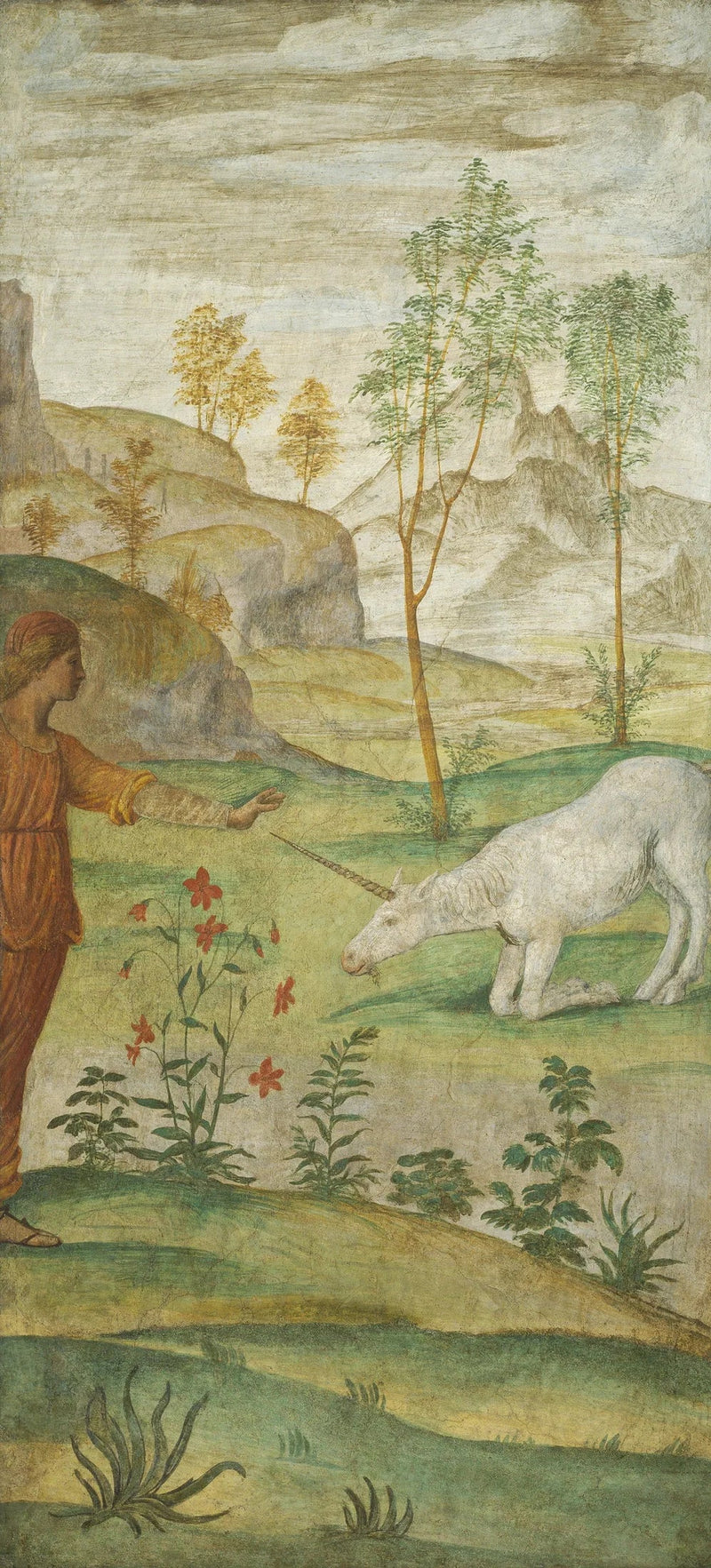 Procris et la Licorne - Bernardino Luini