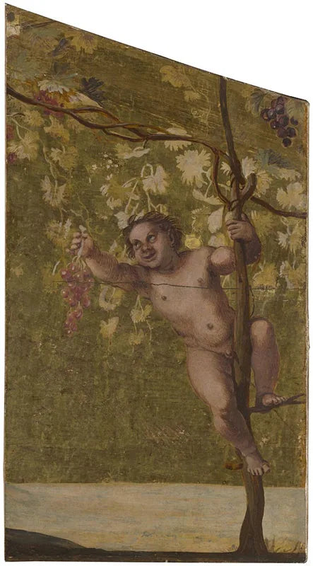 Putto cueillant des raisins - Annibale Carracci image 1 reproduction réalisée par Alpha Reproduction