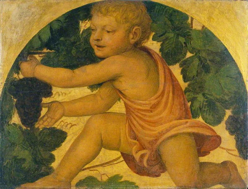 Putto cueillant des raisins - Bernardino Luini image 1 copie peinte à la main à l’huile