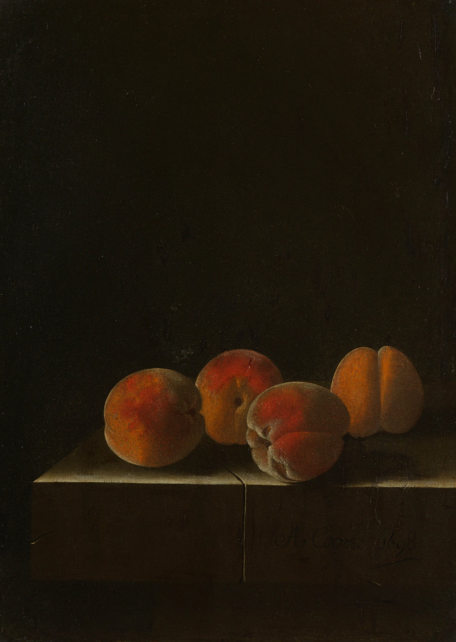 Quatre abricots sur un socle en pierre - Adriaen Coorte