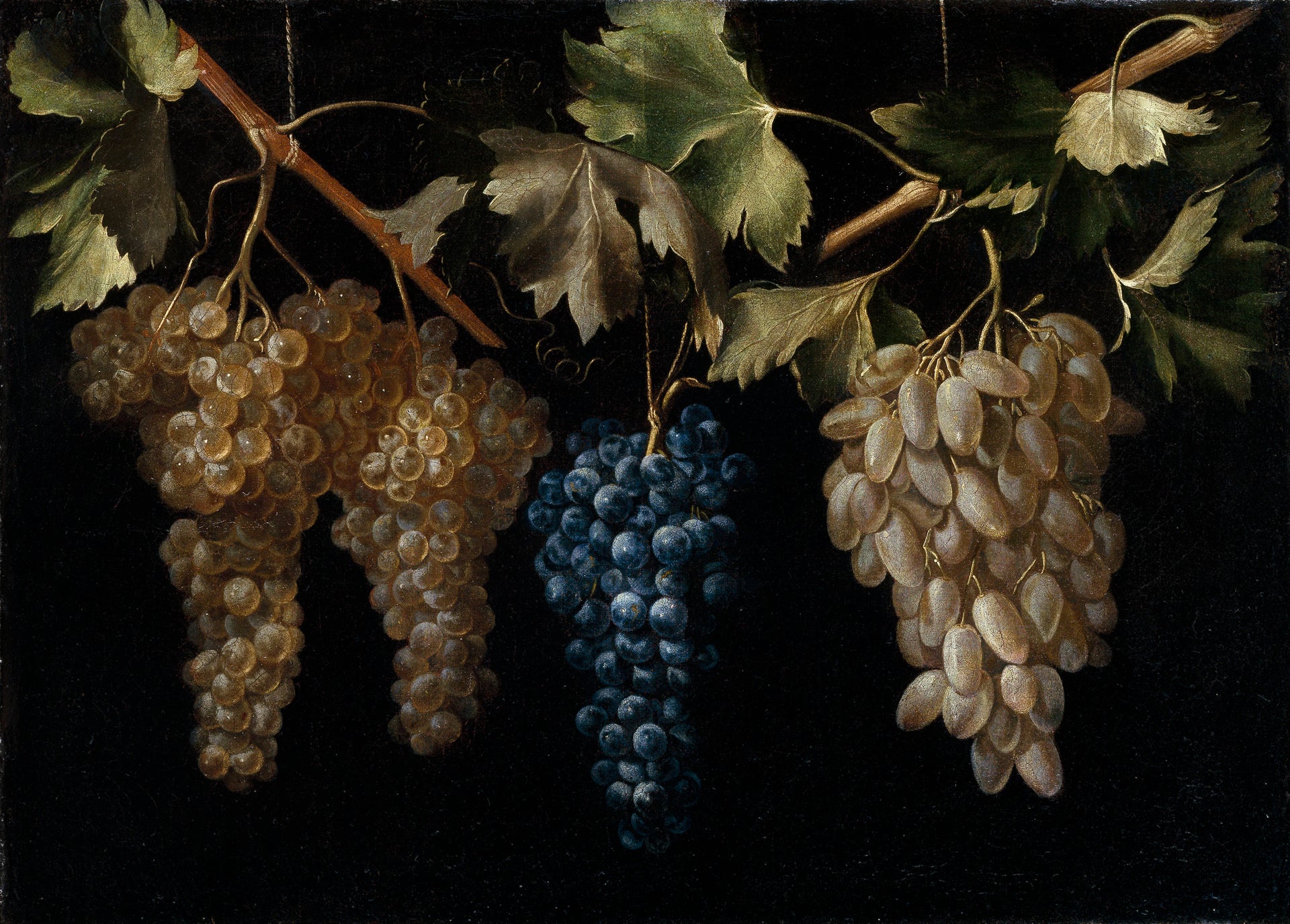 Quatre grappes de raisins suspendus - Juan Fernández el Labrador