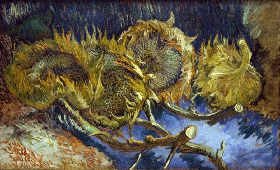 Quatre tournesols fanés, F452 – Van Gogh