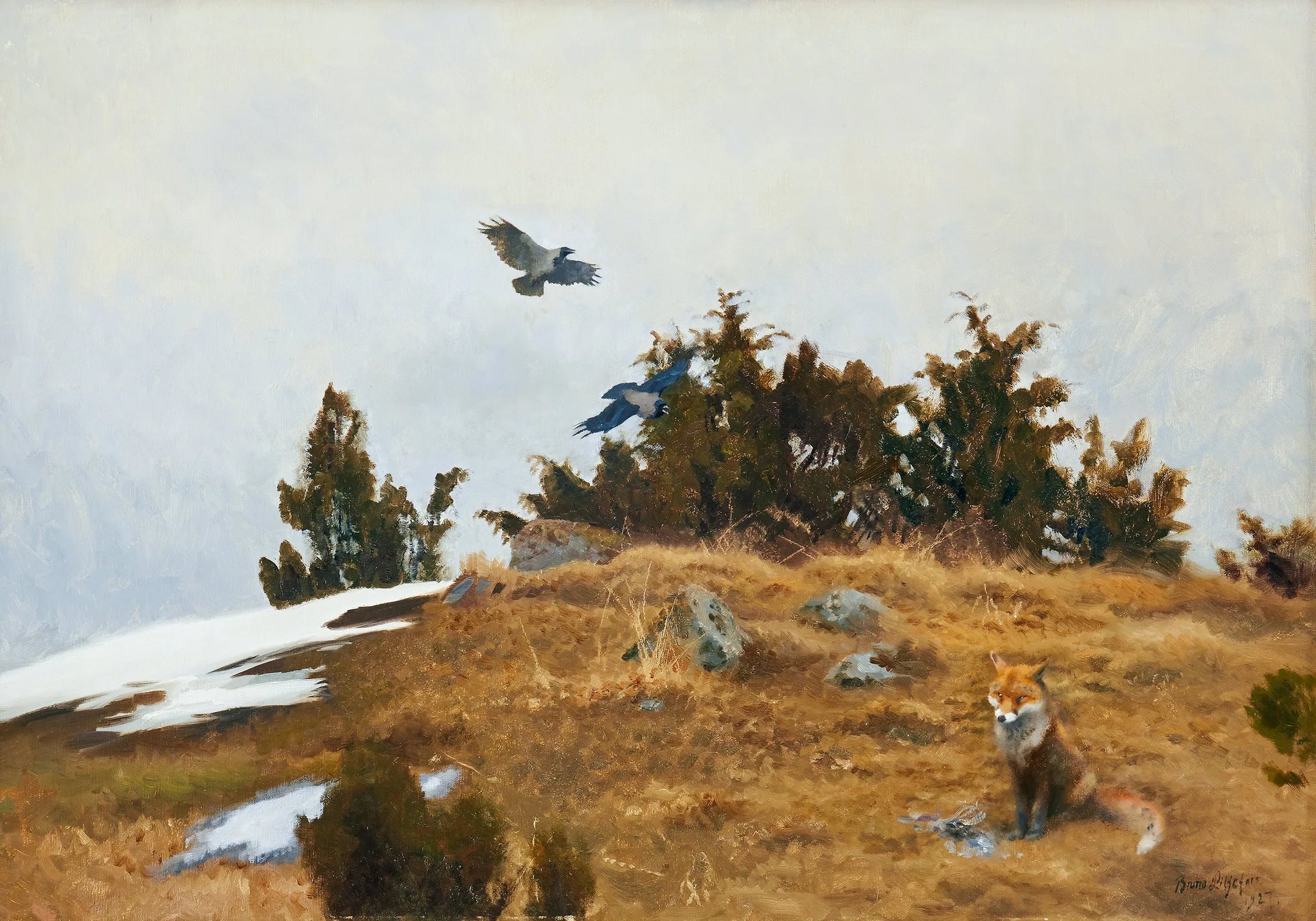 Renard avec sa proie et des corbeaux dans un paysage printanier-hivernal - Bruno Liljefors image 1 reproduction réalisée par Alpha Reproduction
