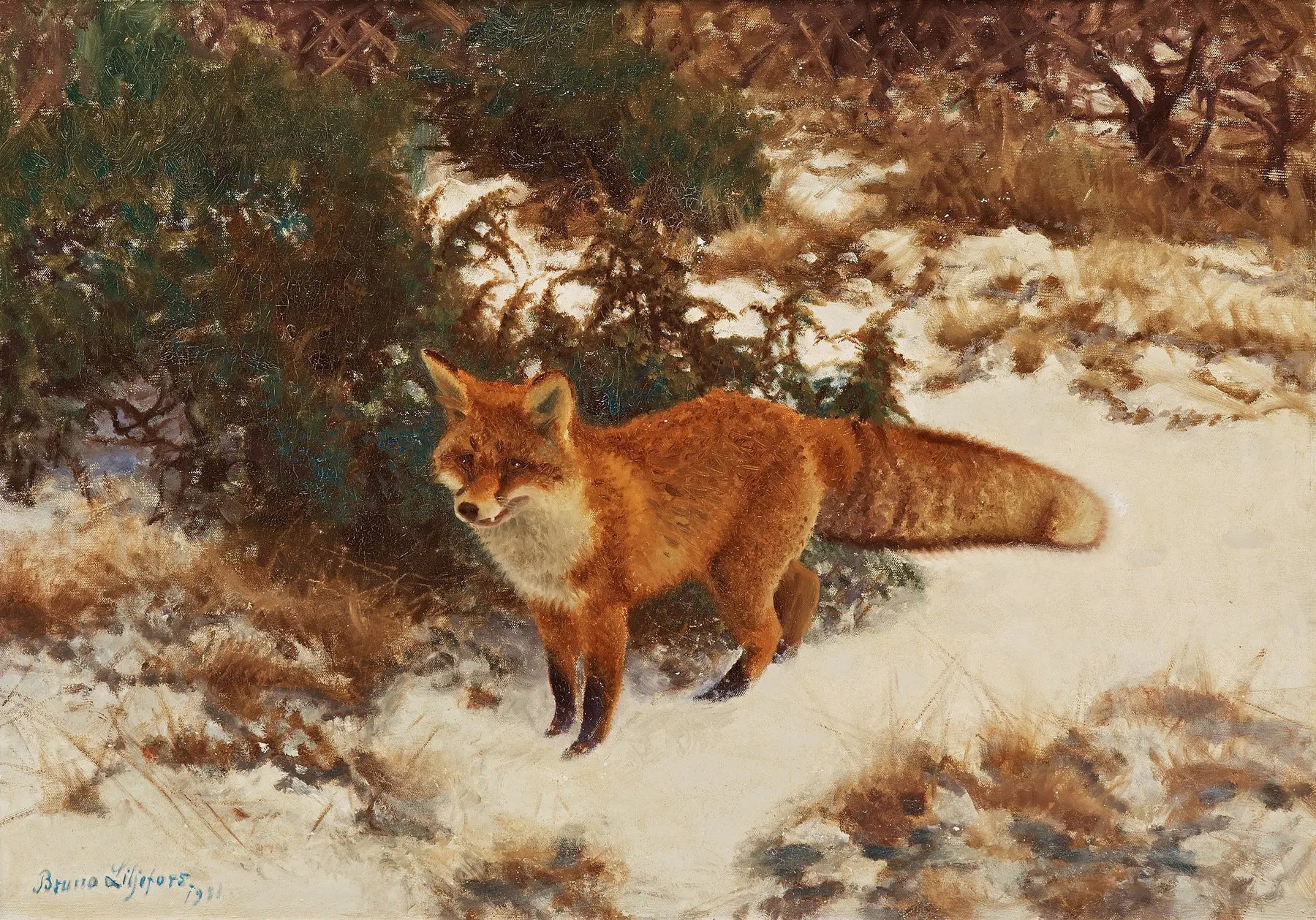 Renard dans la forêt d'hiver - Bruno Liljefors image 1 reproduction artisanale de tableau
