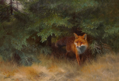 Renard dans un paysage forestier - Bruno Liljefors image 1 copie de tableau peinte à la main