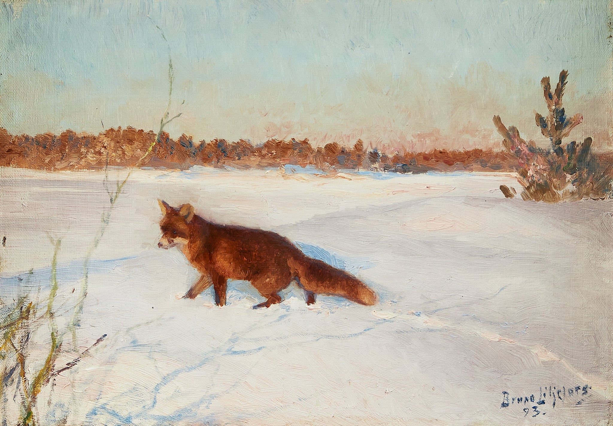 Renard dans un paysage hivernal enneigé - Bruno Liljefors image 1 reproduction réalisée par Alpha Reproduction