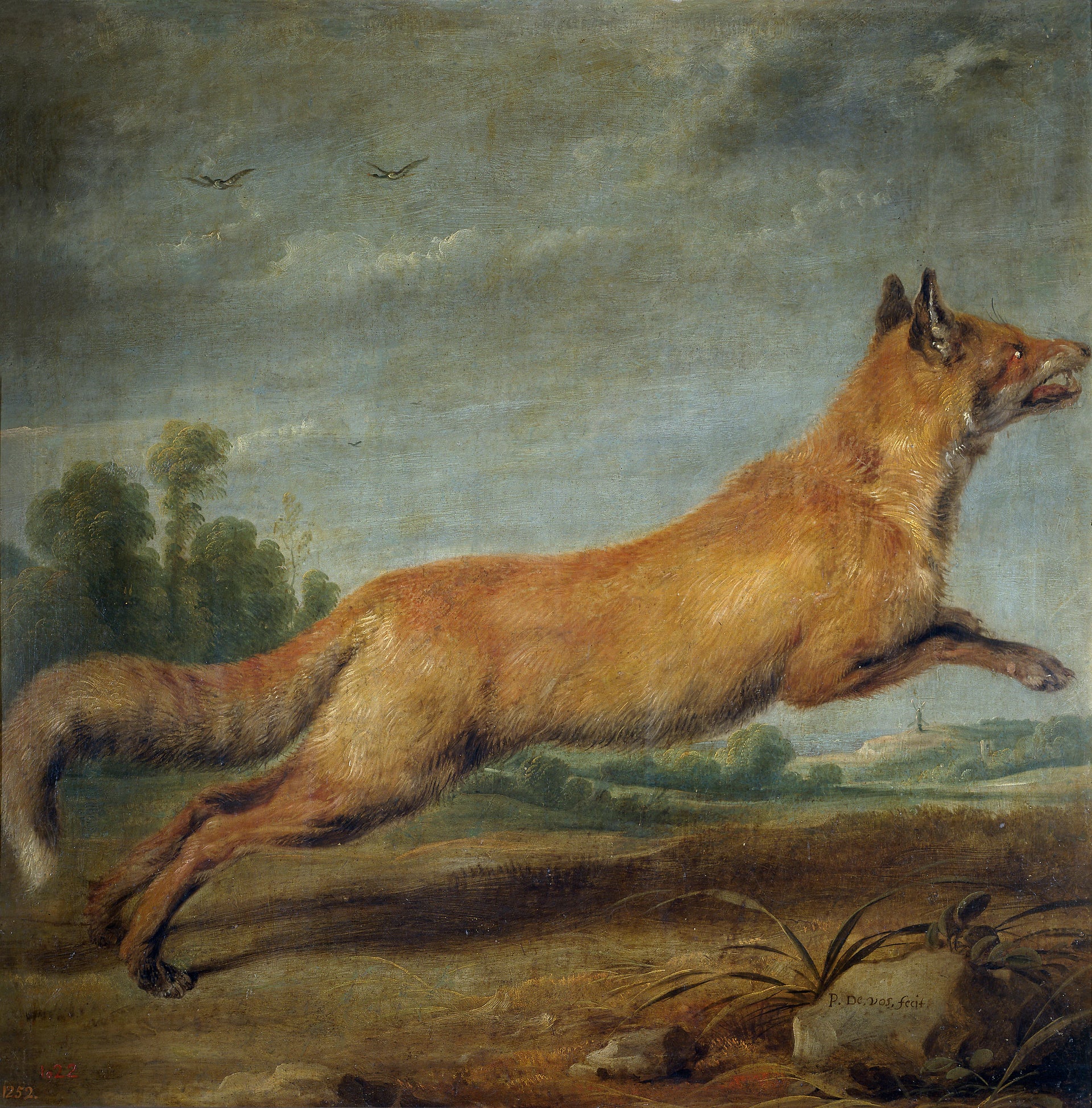 Renard qui court - Paul de Vos
