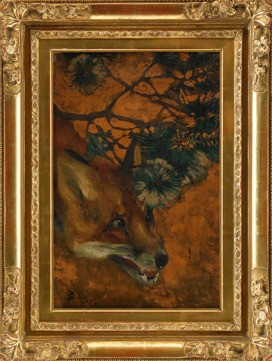 Renard sous une branche de pin - Bruno Liljefors