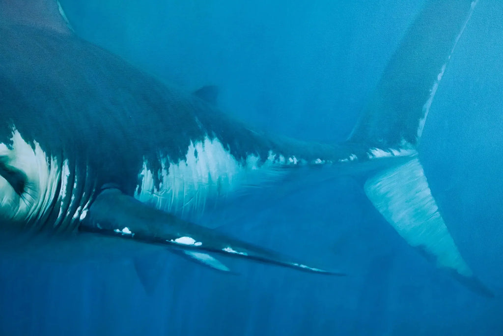 Requin | 150 x 200 cm image 7 reproduction de peinture à l’huile