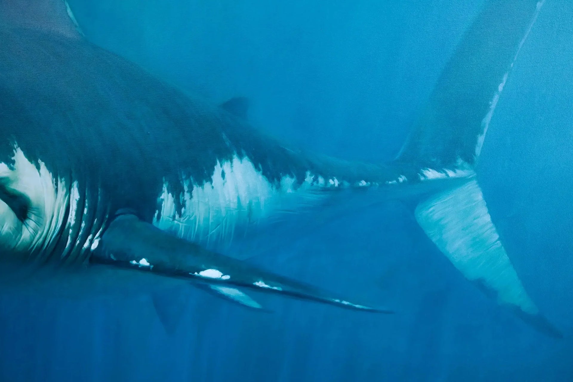 Requin | 150 x 200 cm image 7 reproduction de peinture à l’huile