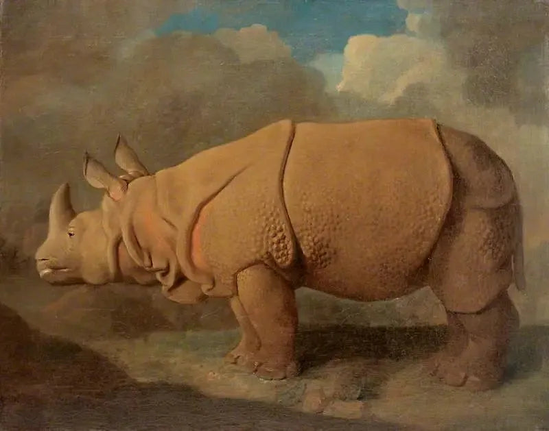 Rhinocéros - George Stubbs image 1 reproduction d’œuvre d’art à l’huile