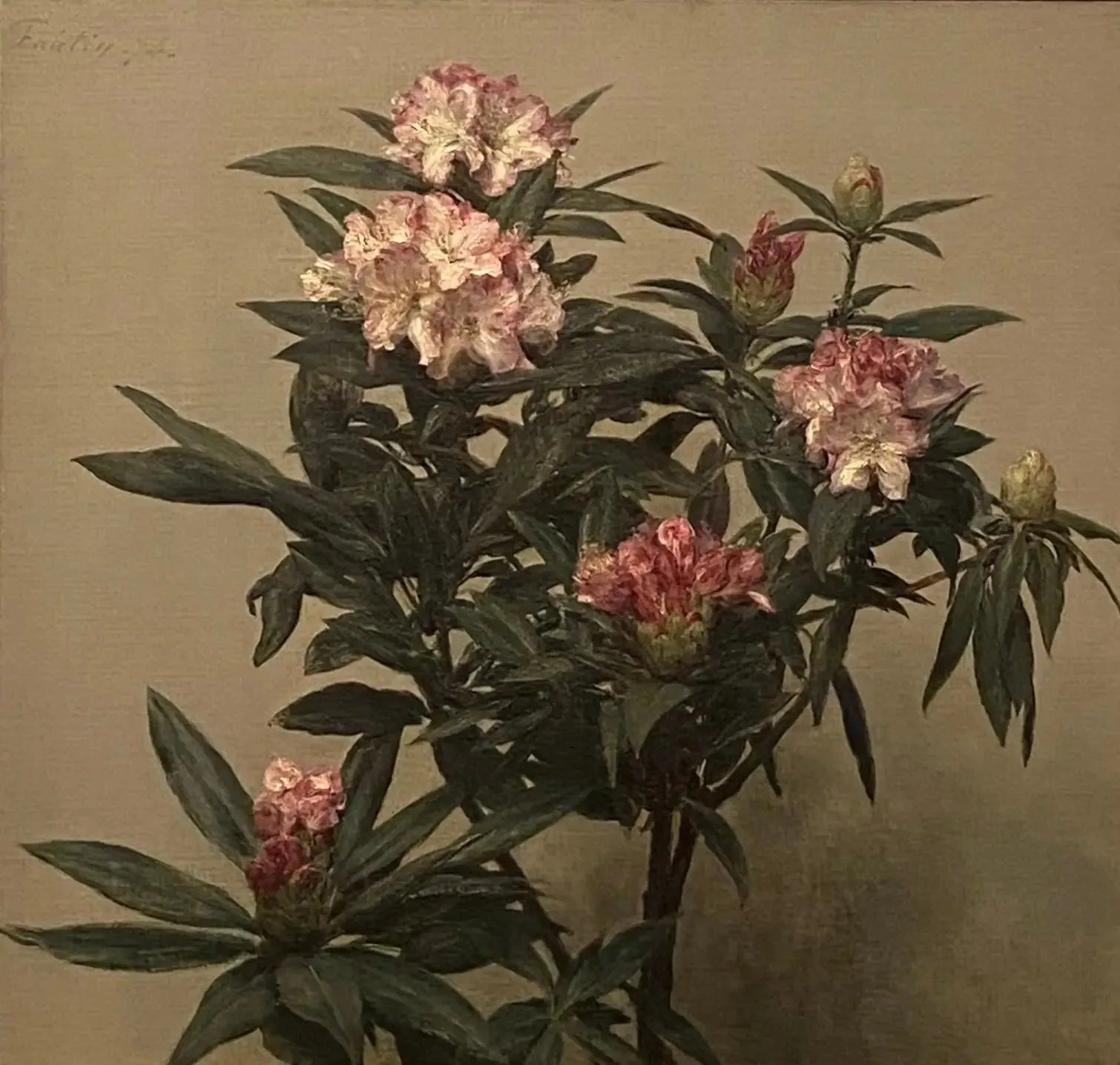 Rhododendrons - Henri Fantin-Latour image 1 reproduction réalisée par Alpha Reproduction
