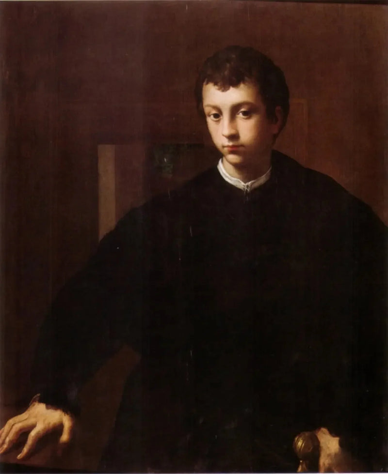 Ritratto di giovane - Parmigianino