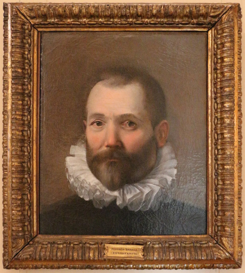 Ritratto di uomo di mezza età - Federico Barroci