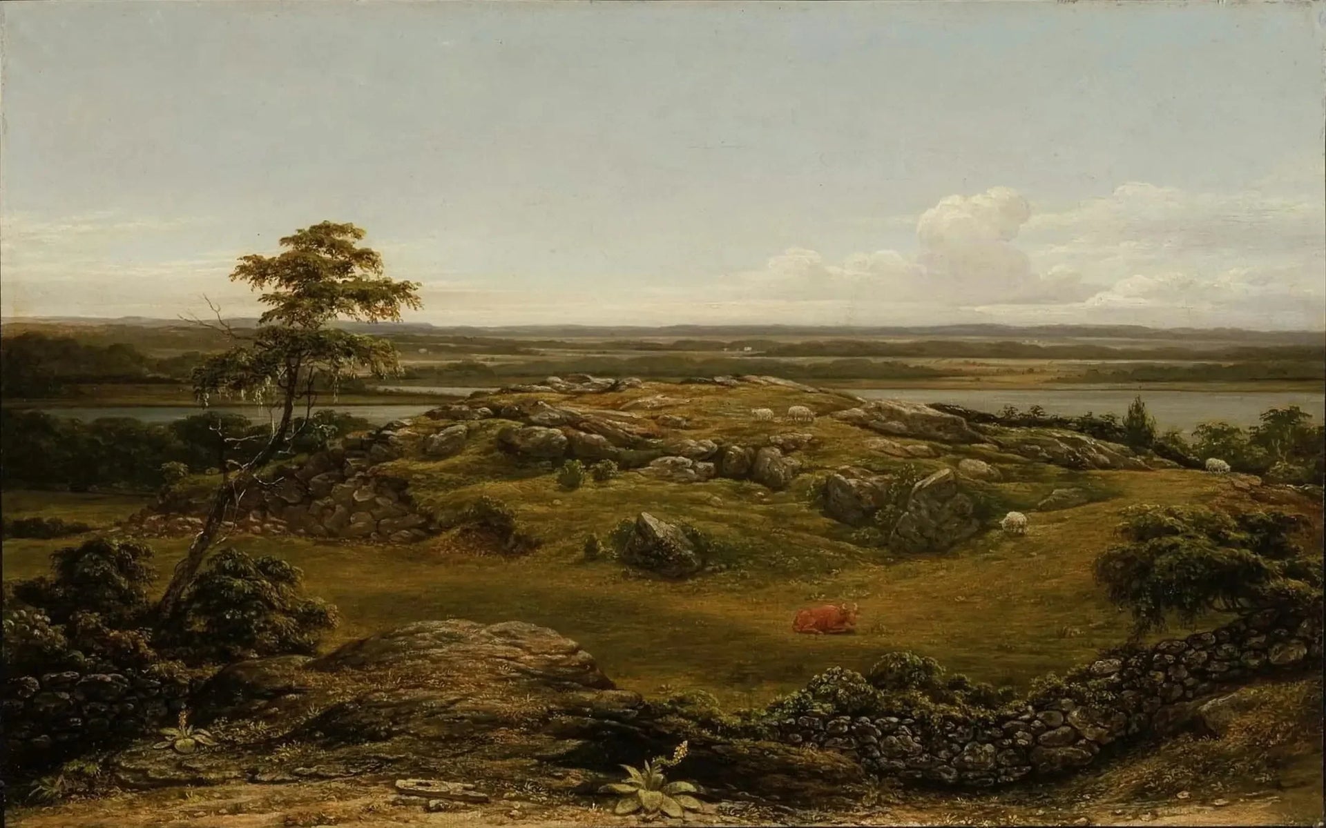 Rochers en Nouvelle-Angleterre - Martin Johnson Heade image 1 reproduction artisanale de tableau