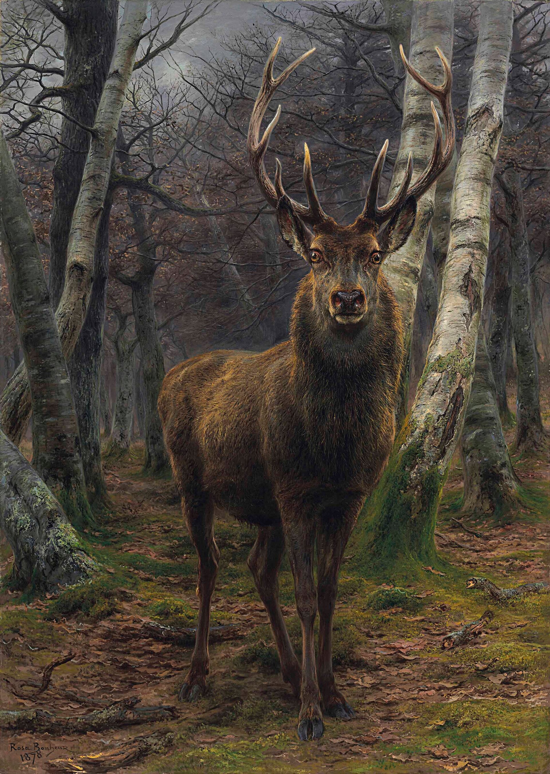 Le Roi de la forêt - Rosa Bonheur