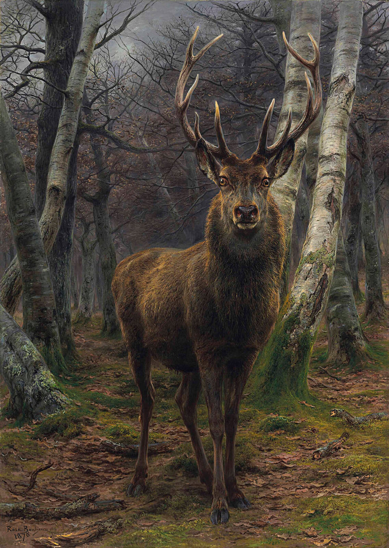 Le Roi de la forêt - Rosa Bonheur