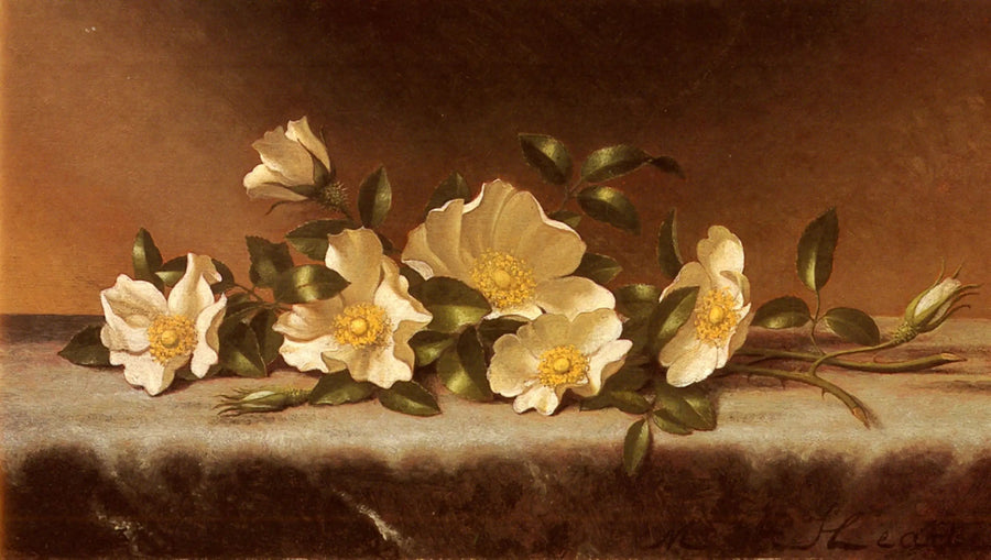 Roses Cherokee sur un tissu gris clair - Martin Johnson Heade