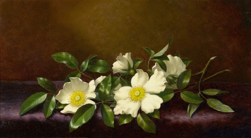 Roses Cherokee sur un tissu violet - Martin Johnson Heade