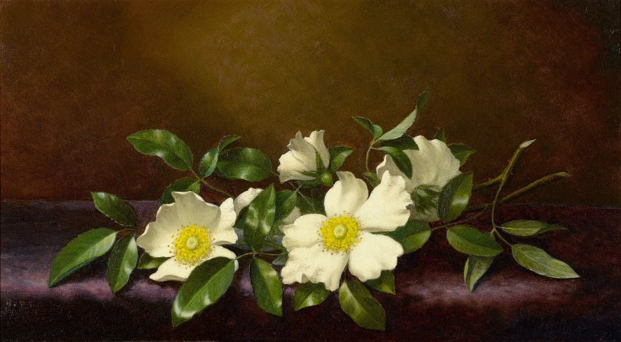 Roses Cherokee sur un tissu violet - Martin Johnson Heade