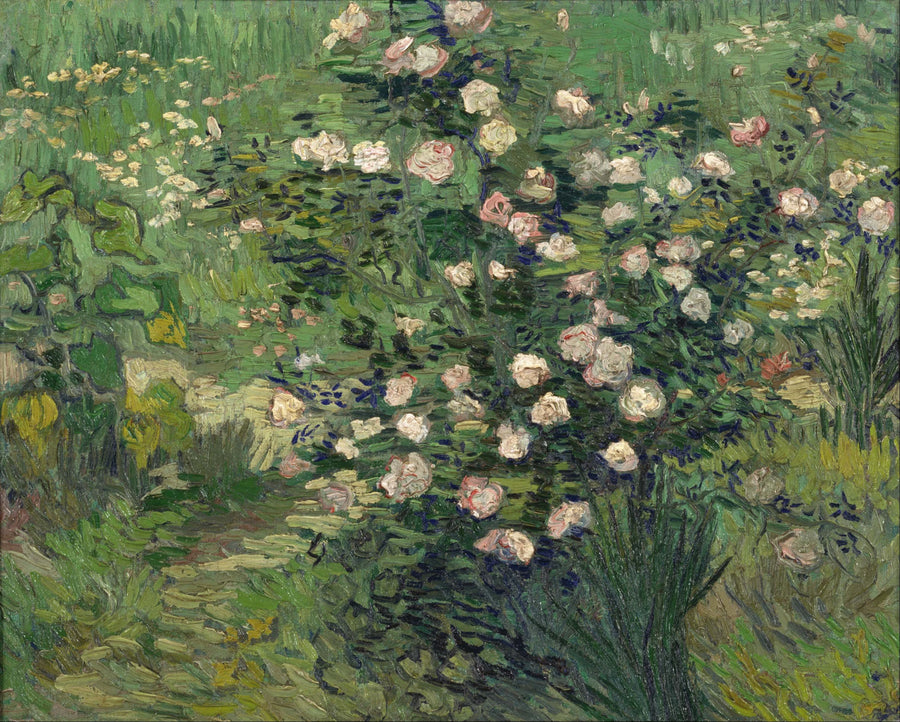 Троянди - Vincent van Gogh
