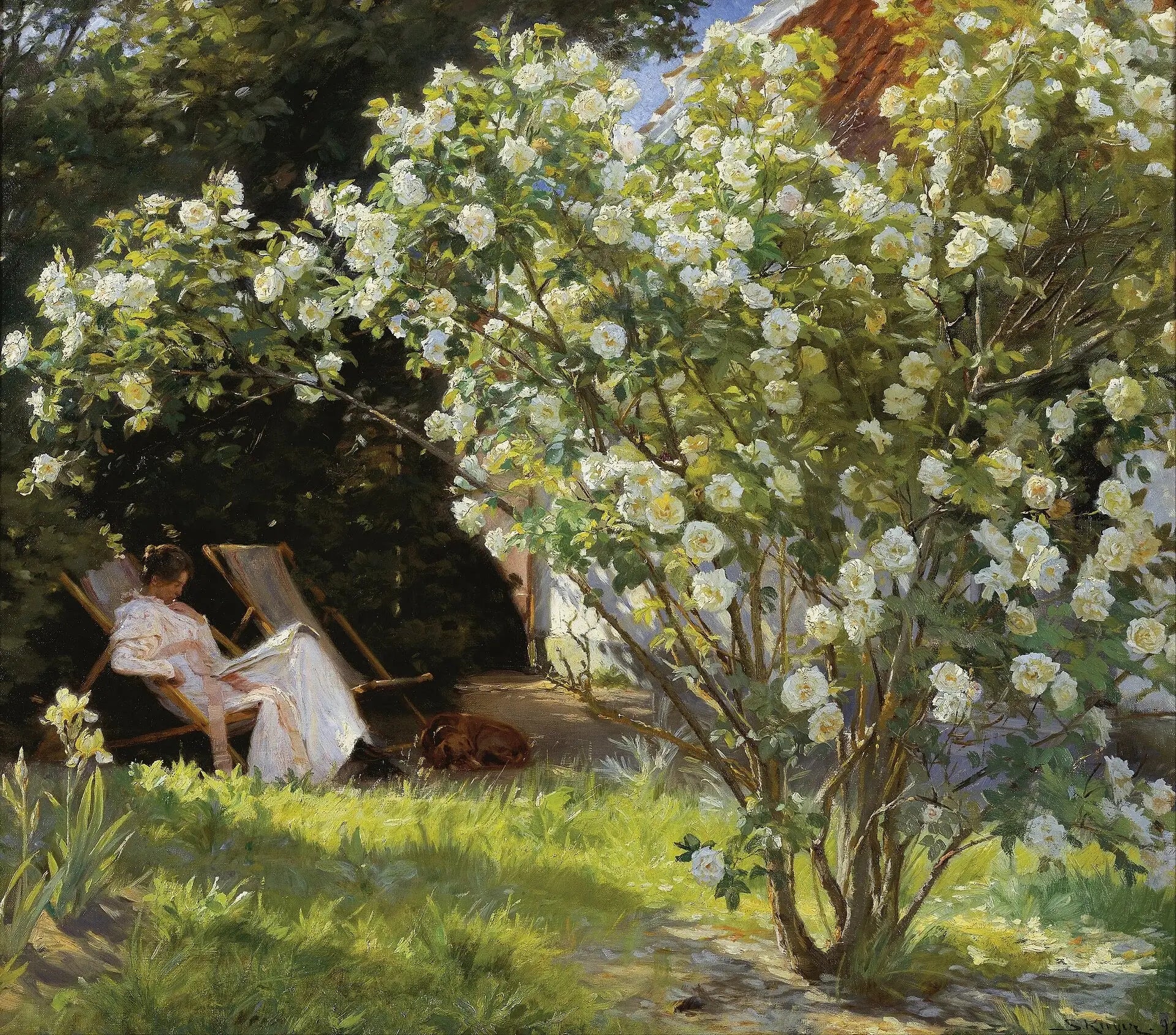Roses - Peder Severin Krøyer image 1 reproduction artisanale de tableau