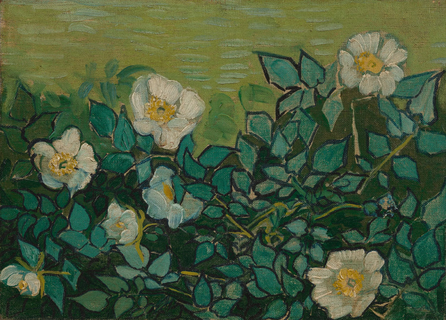 Roses sauvages, F597 – Vincent van Gogh