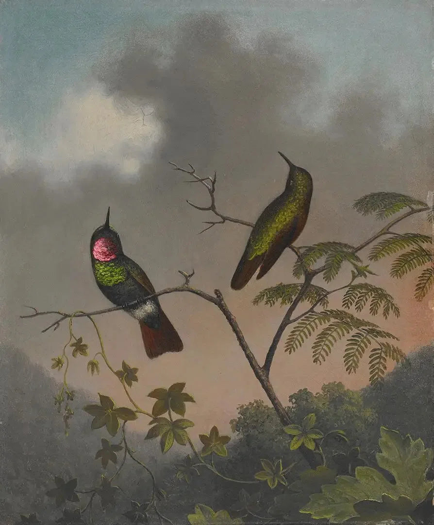 Rubis brésilien - Martin Johnson Heade