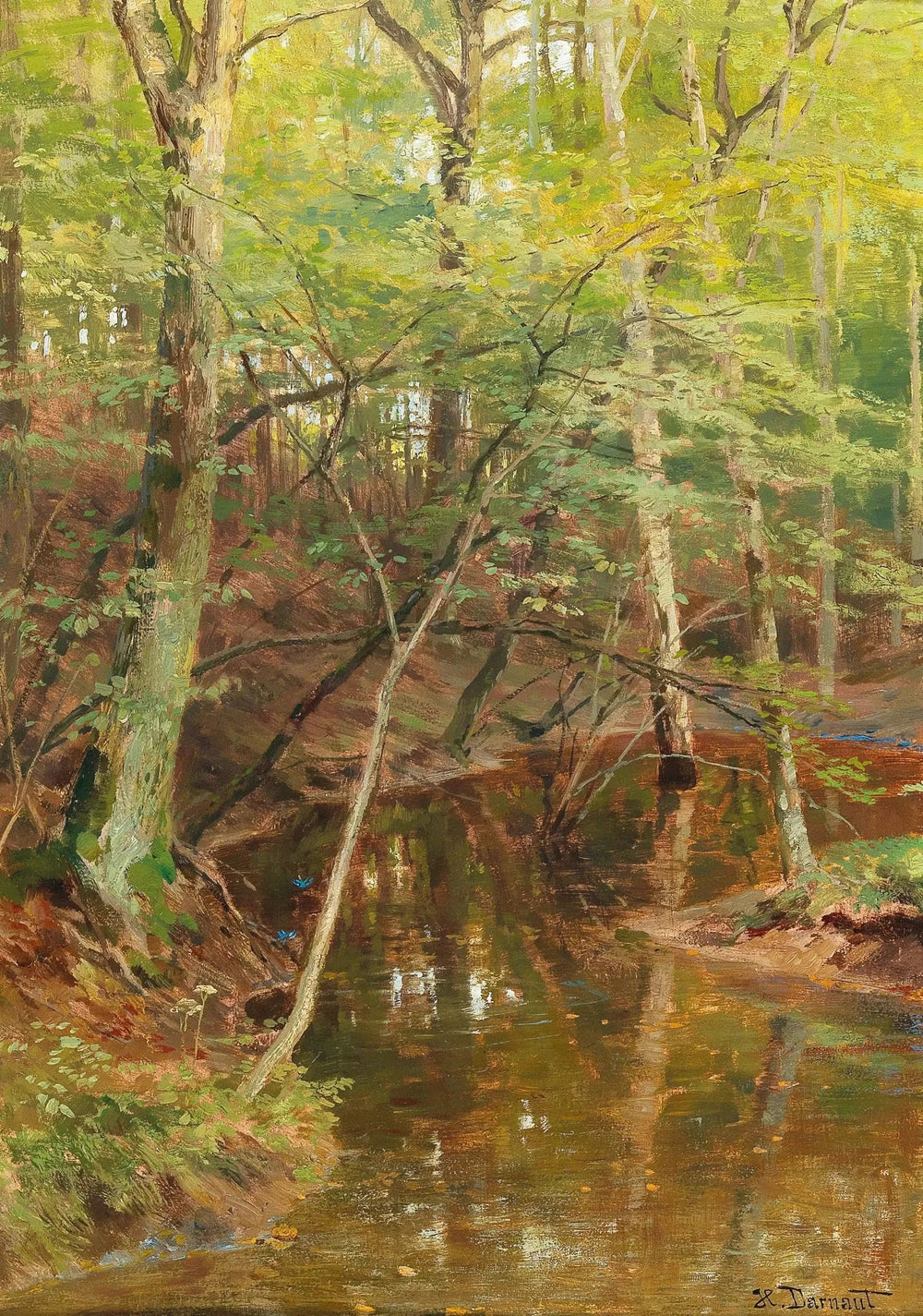 Ruisseau Woodland - Hugo Darnaut - Alpha Reproduction