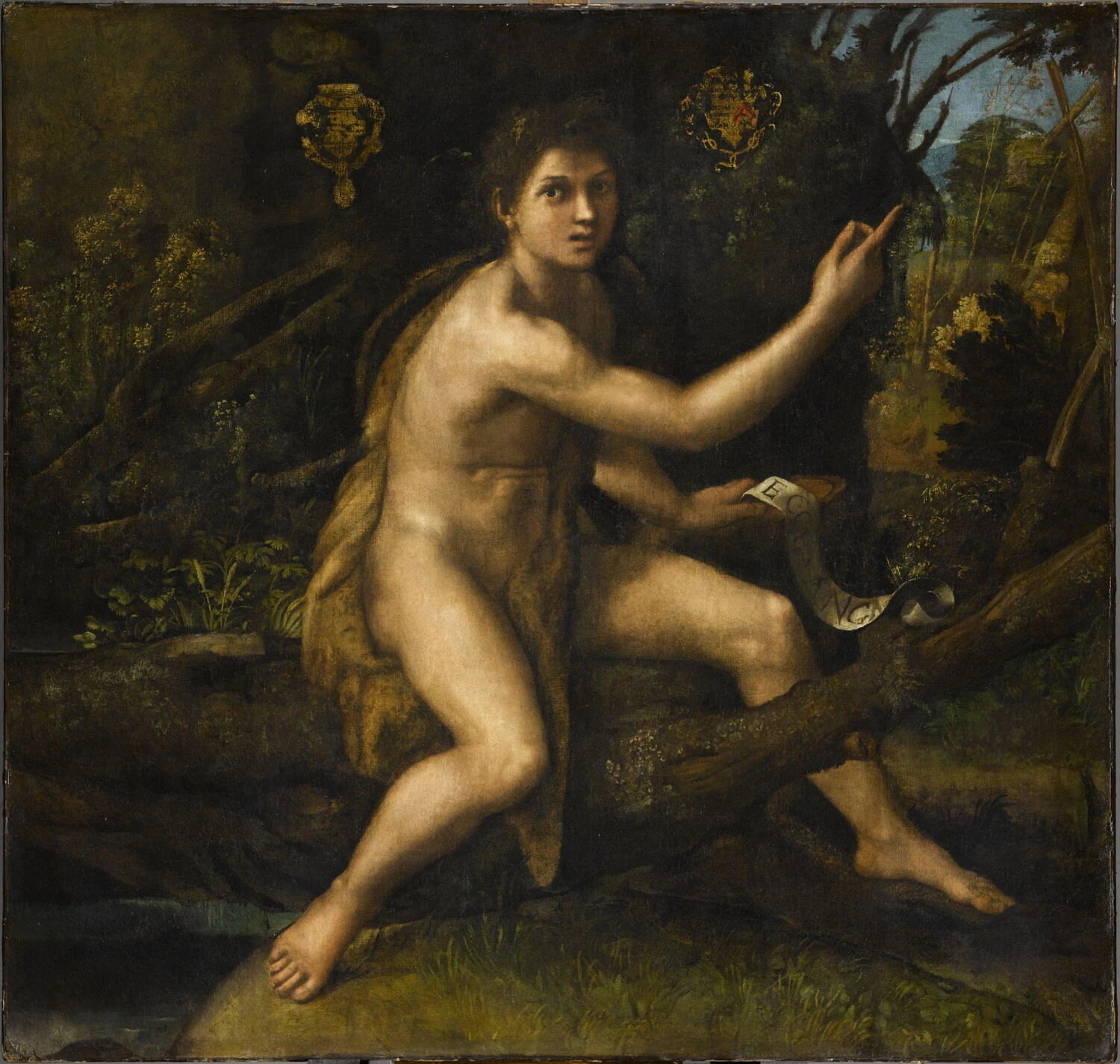 Saint Jean-Baptiste dans le désert désignant la Croix de la Passion - dit Raphaël Santi Raffaello