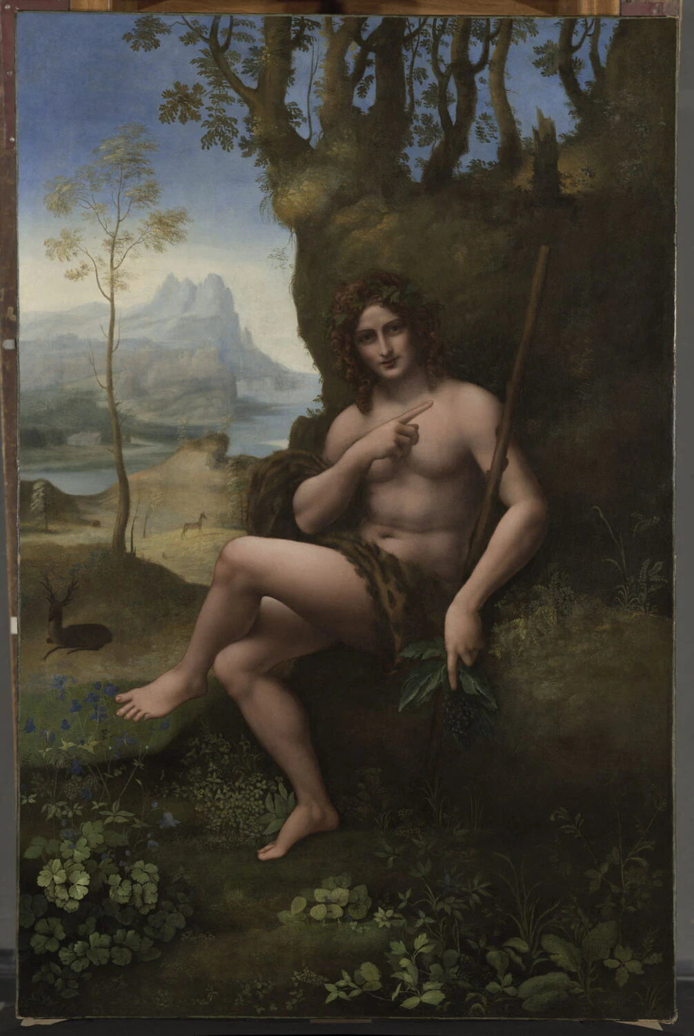 Saint Jean-Baptiste - Francesco Melzi