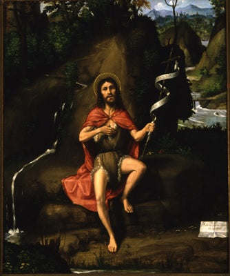 Saint Jean dans le désert - Andrea Previtali image 1 copie de tableau peinte à la main