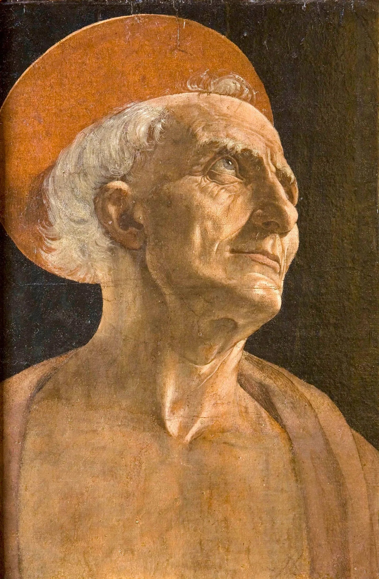 Saint Jérôme - Andrea del Verrocchio image 1 tableau peint à l’huile sur toile