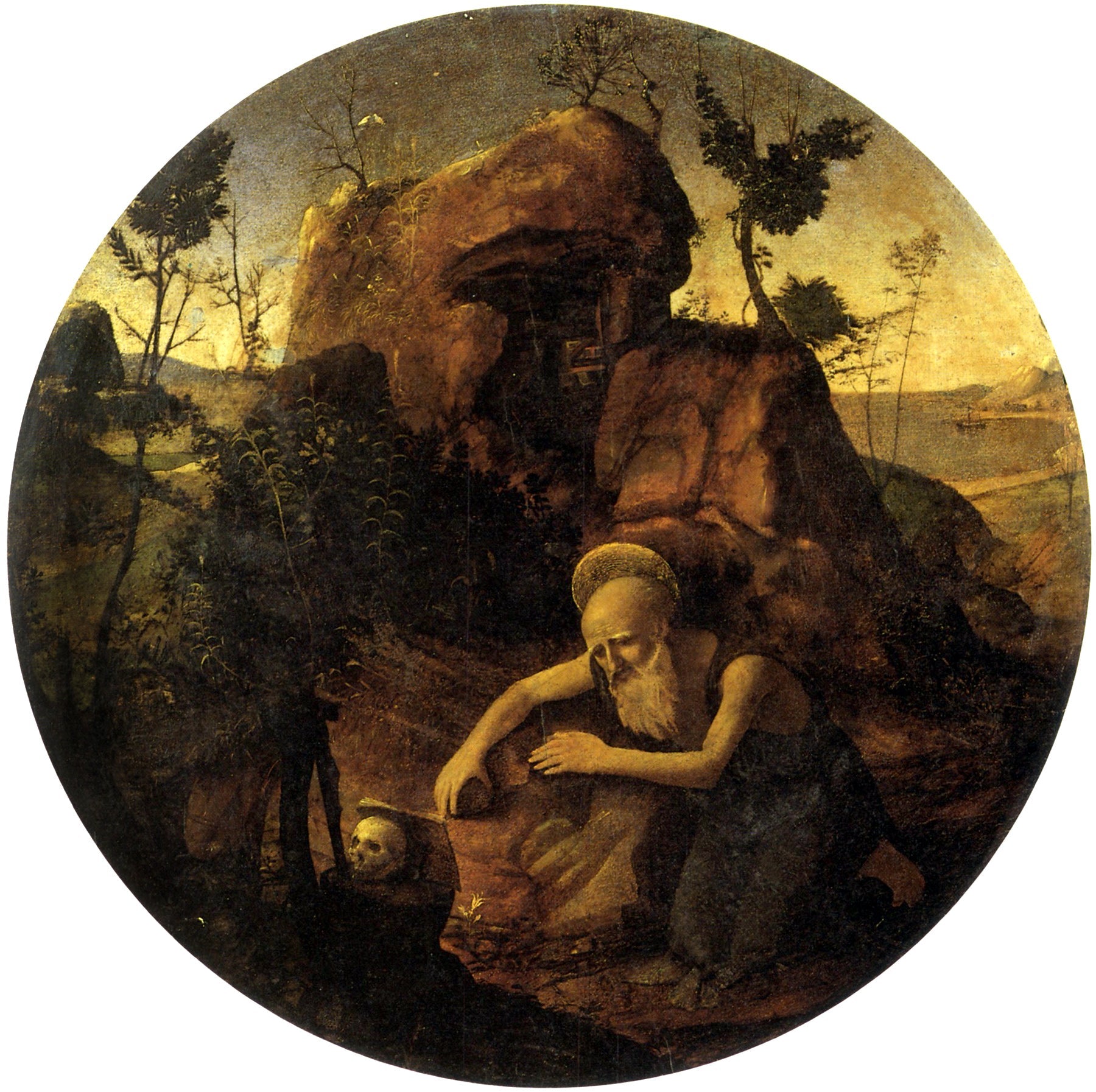 Saint Jérôme en méditation - Piero di Cosimo image 1 copie peinte à la main à l’huile