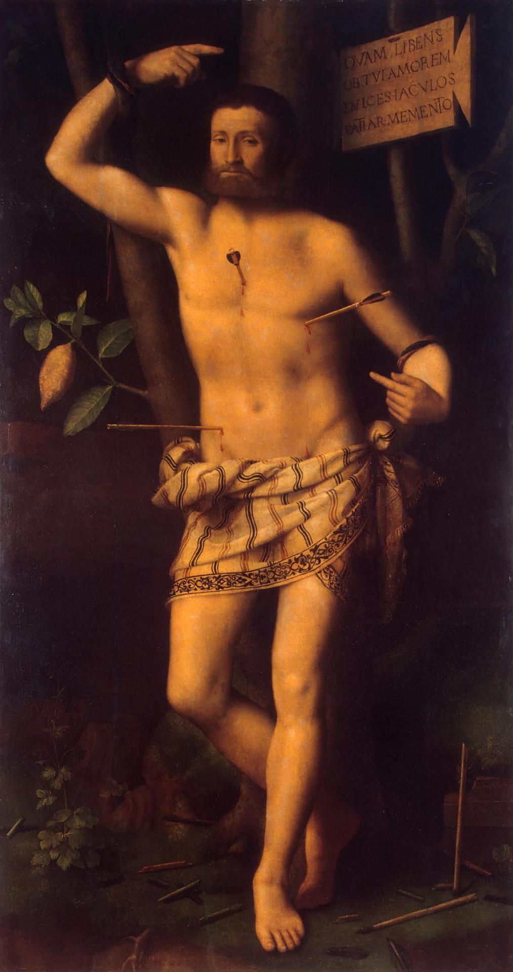Saint Sébastien - Bernardino Luini image 1 tableau peint à l’huile sur toile