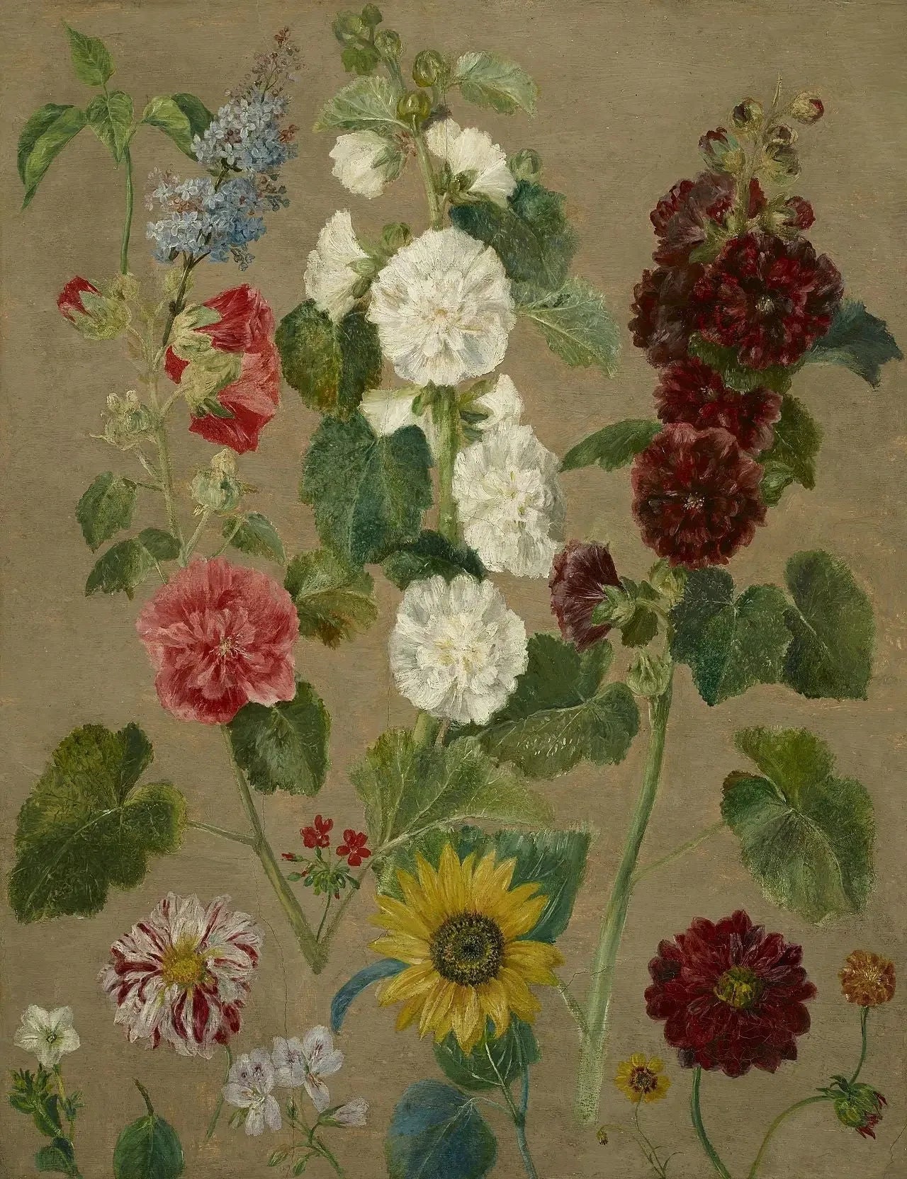 Sans titre [fleurs] - Eugène Delacroix image 1 reproduction réalisée par Alpha Reproduction