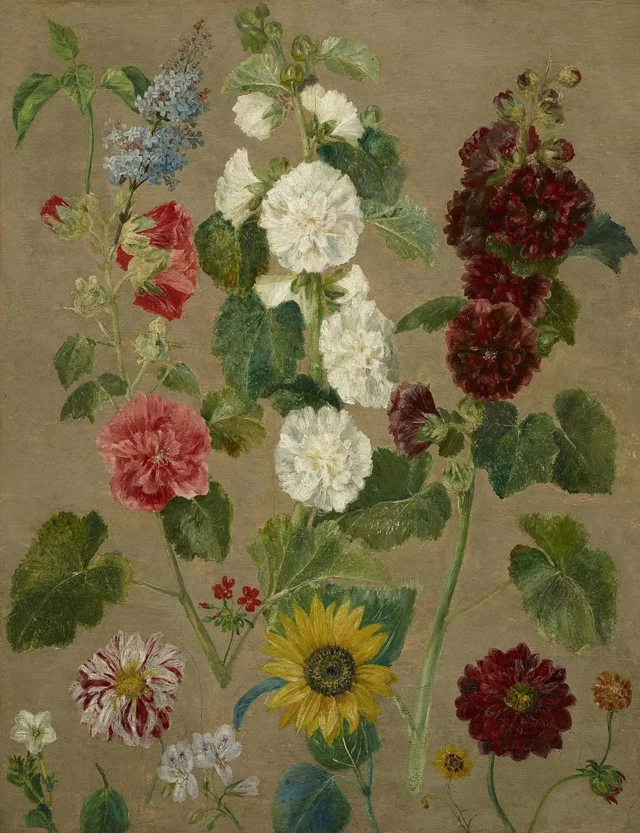 Sans titre [fleurs] - Eugène Delacroix