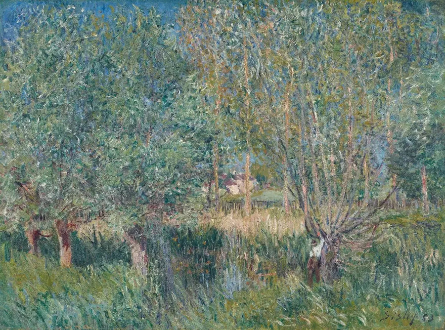 Saules au bord de l'Orvanne - Alfred Sisley