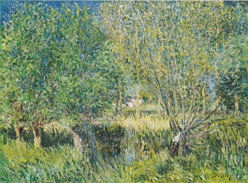 Saules au bord de l'Orvanne - Alfred Sisley
