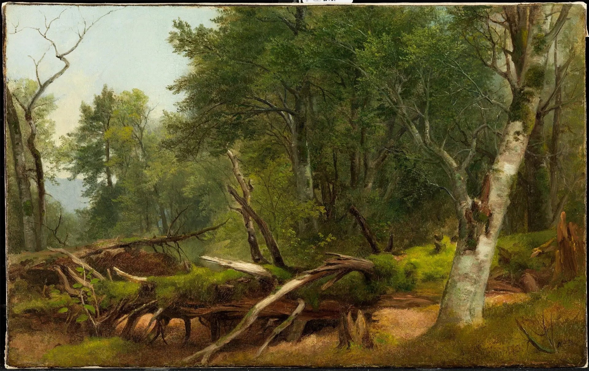 Scène de forêt dans les Catskills - Asher Brown Durand image 1 copie peinte à la main à l’huile