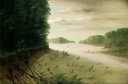 Scène du Bas-Mississippi - George Catlin image 1 copie peinte à la main à l’huile