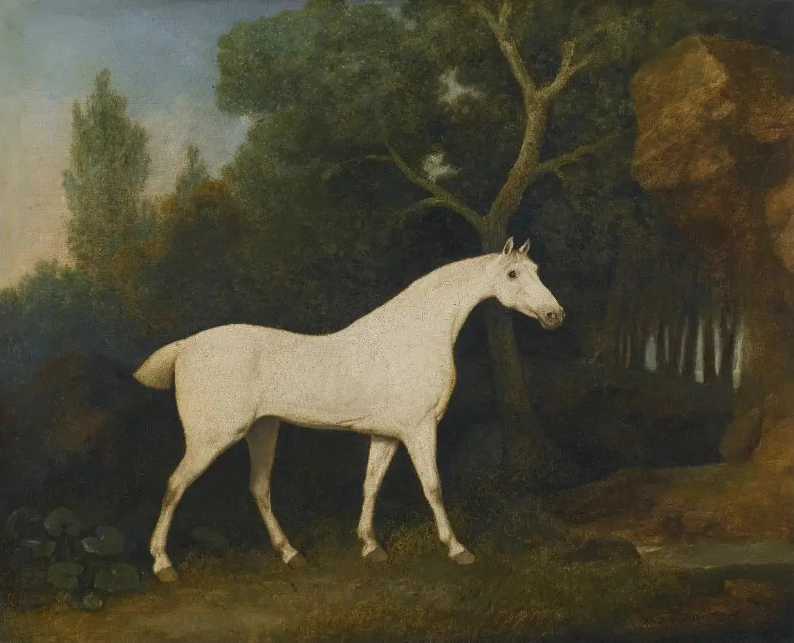 Selim, un chasseur gris dans un enclos - George Stubbs image 1 reproduction de peinture à l’huile