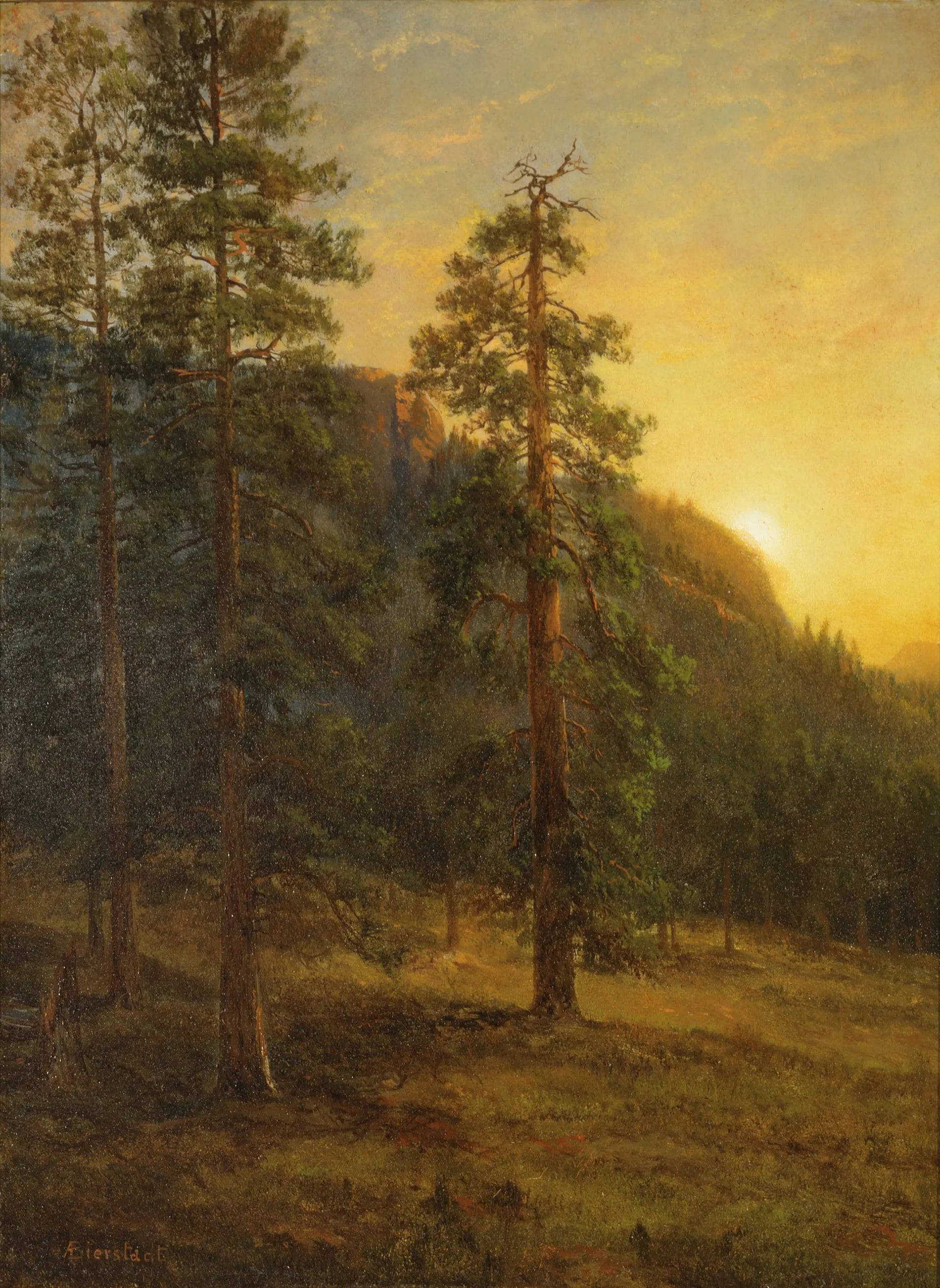 Séquoias de Californie - Albert Bierstadt image 1 reproduction de peinture à l’huile
