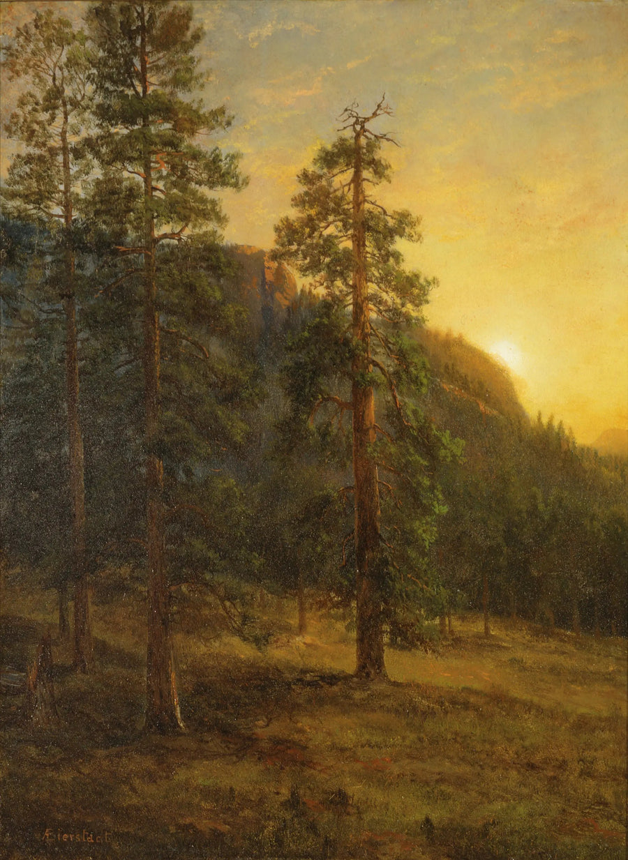 Séquoias de Californie - Albert Bierstadt